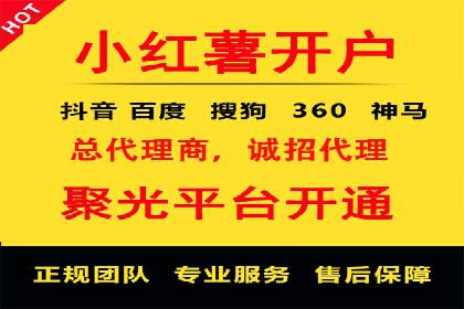 抖音信息流代理服务在旅游行业的应用实例